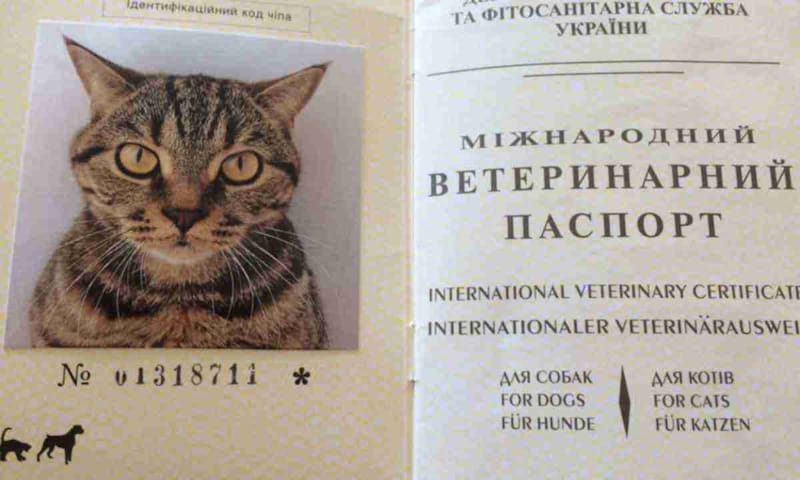 паспорт для тварин