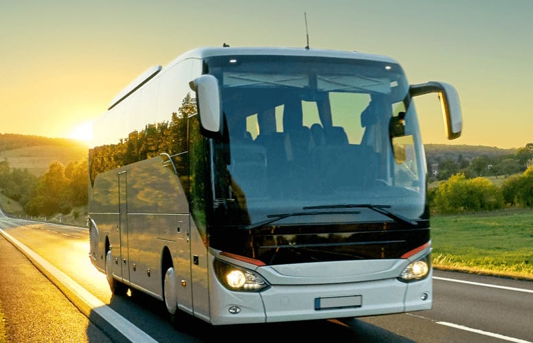 Автобус Чернівці - Солотвино