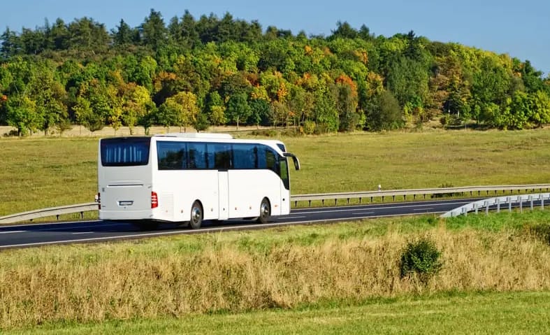 Автобус Чернівці - Сокиряни