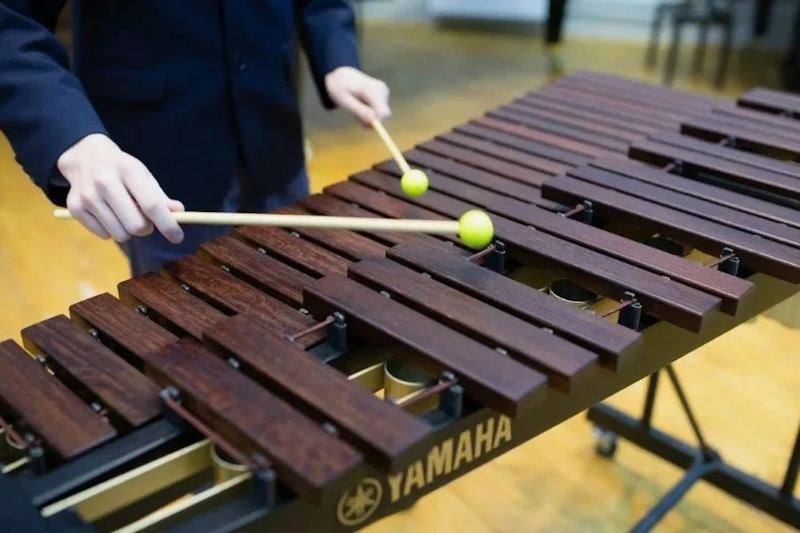 Ксилофон, історія, будова та роль у музичному мистецтві